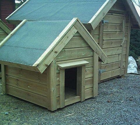 hønehus og hundehus