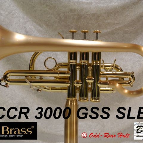 CarolBrass® Bb kornett CCR3000GSS-SLB