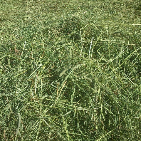 Annonsebilde
