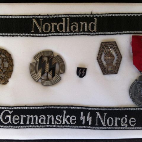 nasjonal samling/waffen ss