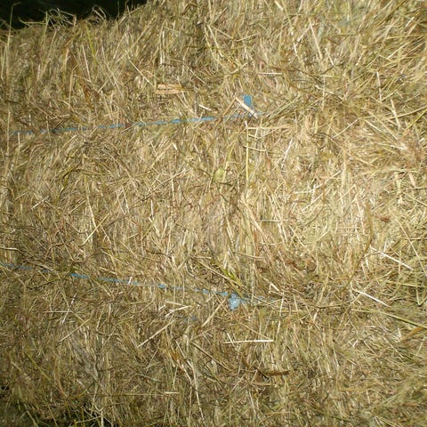 Annonsebilde