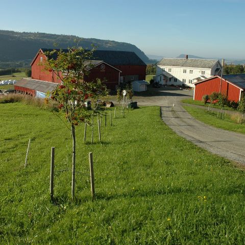 Populær vinterlagring båt, vannscooter, mc, moped MELHUS