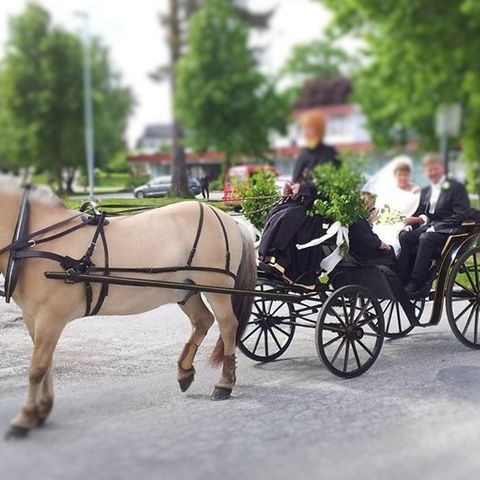 Ønsker du å starte med oppdrags kjøring?