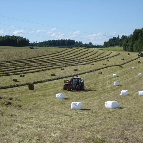 H3 høy, lavt sukker