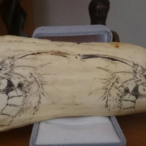 Old engraving on whale tooth (hvaltann)