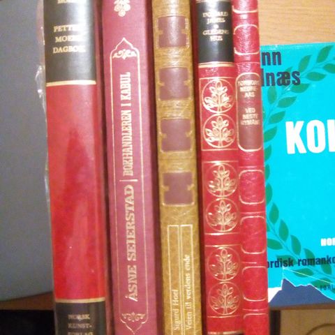 Bøker Skjønnlitteratur Norsk Engelsk Pocketbøker Leskov Seierstad Kepler Kagawa