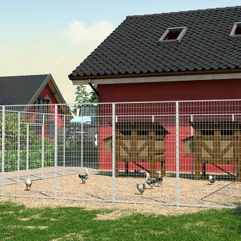Hønsegård
