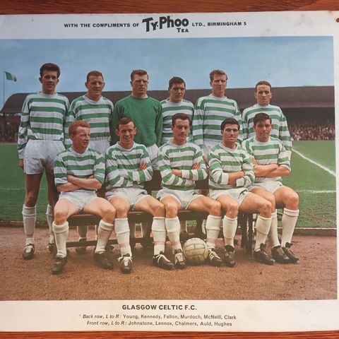 Svært Sjeldent Typhoo Tea Stort fotballkort (poster) 1965 Celtic lagbilde!