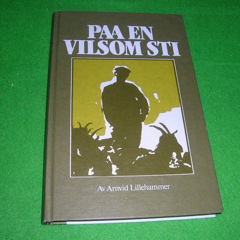 Paa en vilsom sti - Ei forteljing frå Ryfylke (1981)