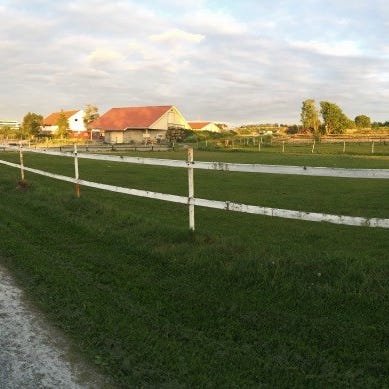 Annonsebilde