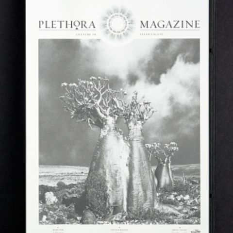 Pletora magazin issue no.3 fra Artelleriet.Nytt.boligstyling.Art.utsolgt over al
