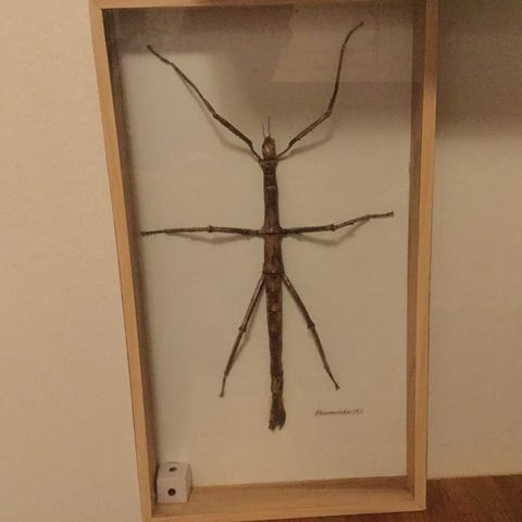 Annonsebilde