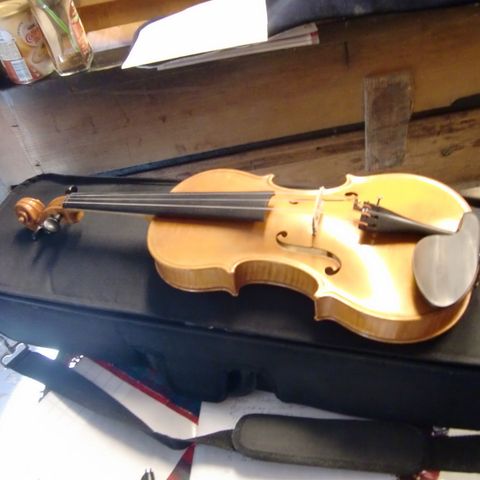 Violin Dalnoki