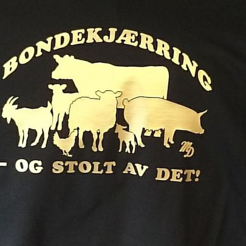 T-skjorte, "Bondekjærring"