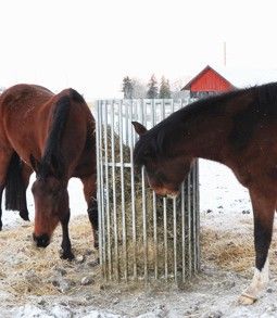 Fôrhekk til hest