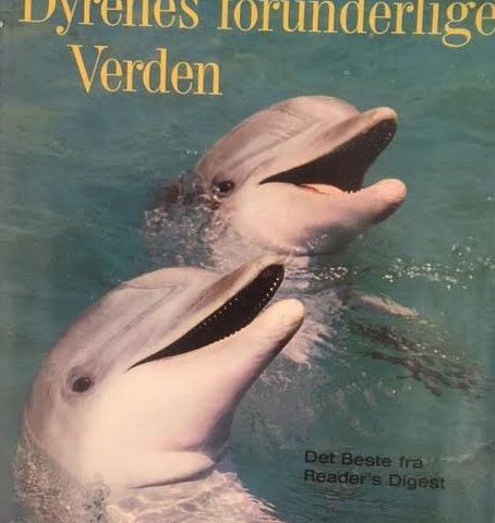 Annonsebilde