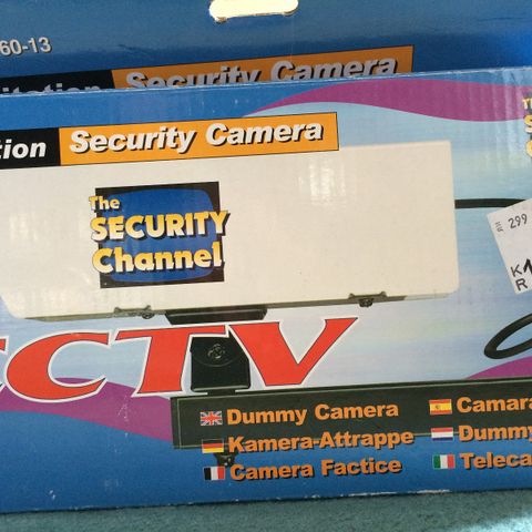 Security camera-imitation
