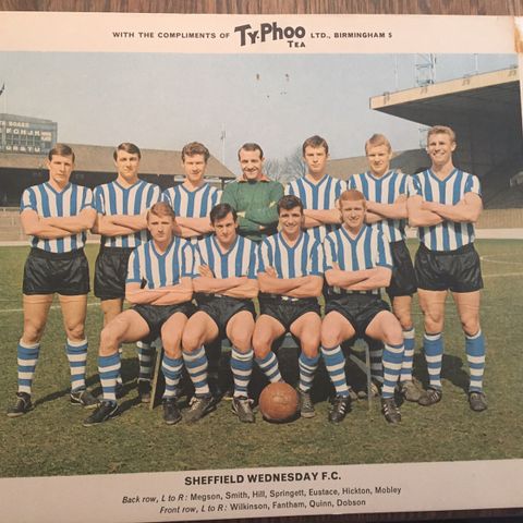 Svært sjeldent Typhoo Tea stort fotballkort (poster) Sheffield Wednesday 1965