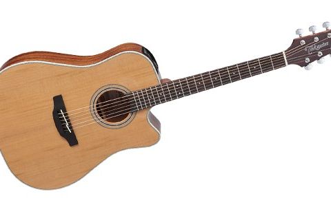 Takamine GD20CE-NS, Akustisk Gitar m/mik