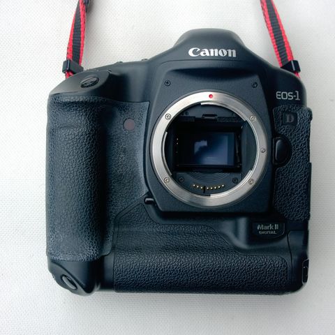 Canon Eos-1 D Markll +Canon NI-MH battery pack.