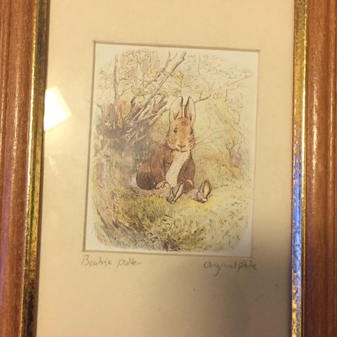 #1  To plansjer fra den engelske Beatrix Potter