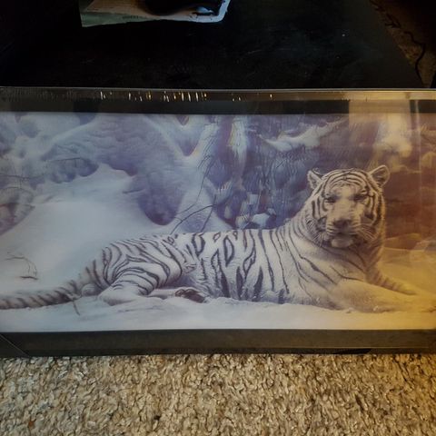 3D bilde med ramme, hvit tiger