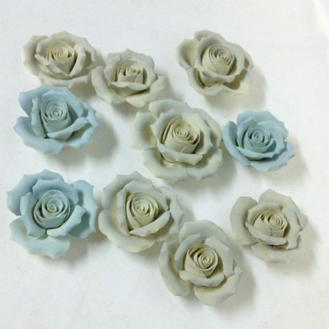 Nydelige, dekorative porselen roser
