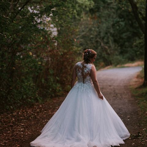 Pronovias Taciana brudekjole 2018