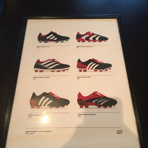 Adidas Predator Print