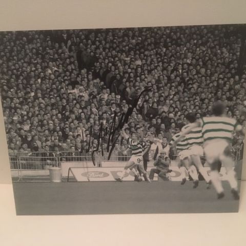 Celtic - Frank McAvennie signert 25x20 cm fotografi med COA