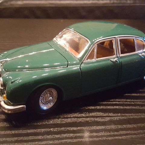 Nydelig Jaguar