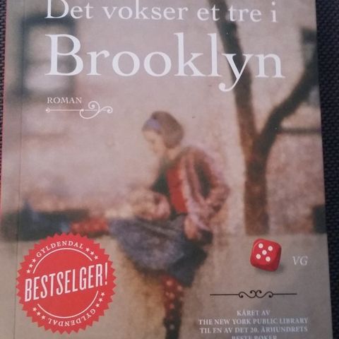 Det vokser et tre i Brooklyn. ÅRETS BESTE LESING!