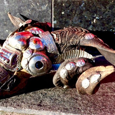 Tibetan Rams Head Skull, Kapala, Buddhist ceremonial