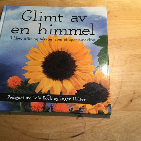 Glimt av en himmel