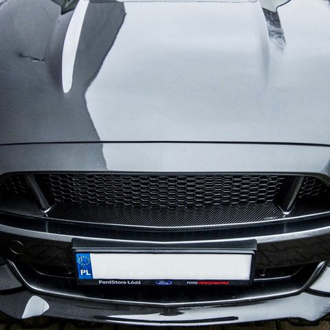 Custom Carbon Grill til Mustang 2017