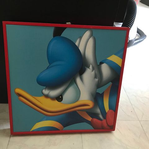 Donald Duck bilde 