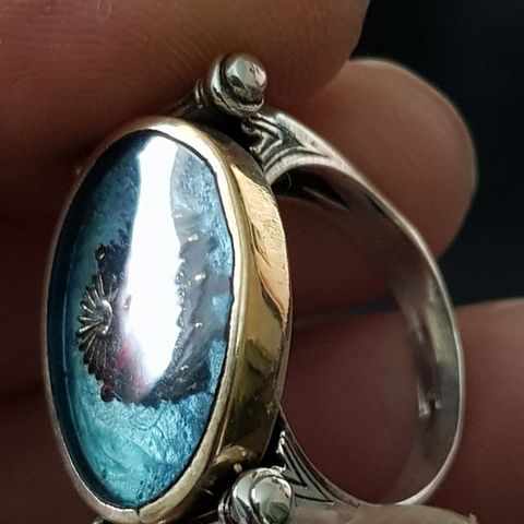 Antikk ring laget av sølv med heraldik symbol i emalje