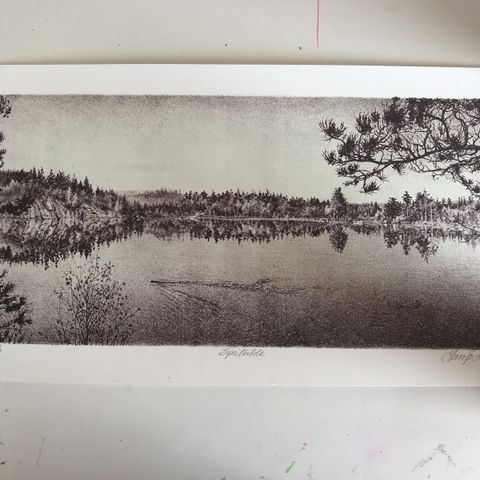 Signert og nummerert litografi av Lars Ø. Hopland - Speilbilde