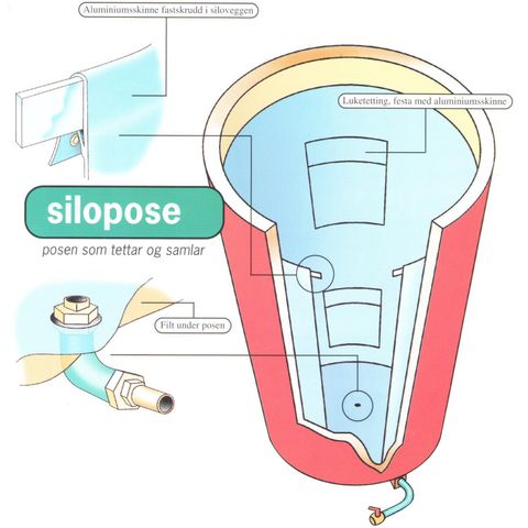 Silopose