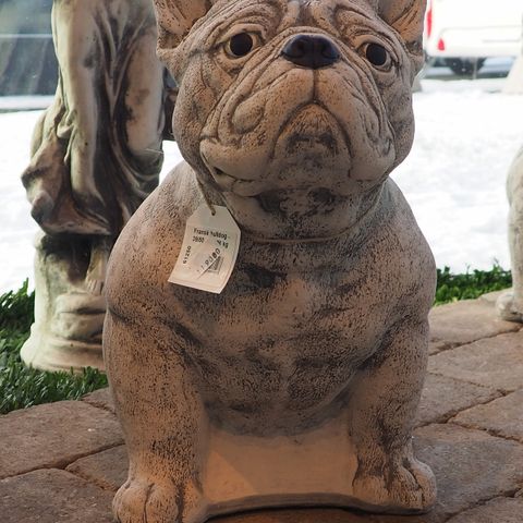 Skulptur Hund (støpt betong) Fransk Bulldog, H: 39cm, 26kg - hos Sundance