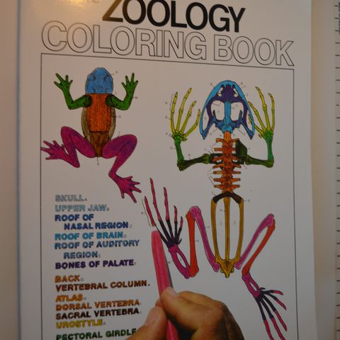 Ny: Zoologi Zoology coloringbook For studenter og alle som vil lære . trn 80