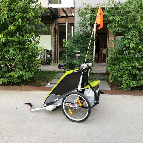 Thule Chariot Cougar 1