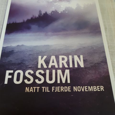 Natt til fjerde november av Karin Fossum