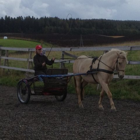 Liten turhest settes bort 1-3 dager i uken