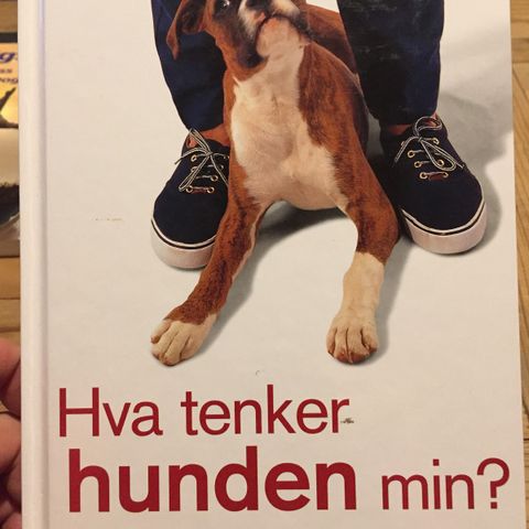 Bok - hva tenker hunden min? Av Gwen Bailey