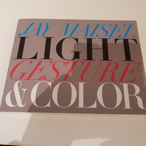 Jay Maisel- Light Gesture & Color
