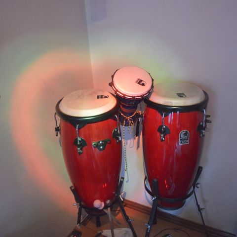 Toca Synergy Congas