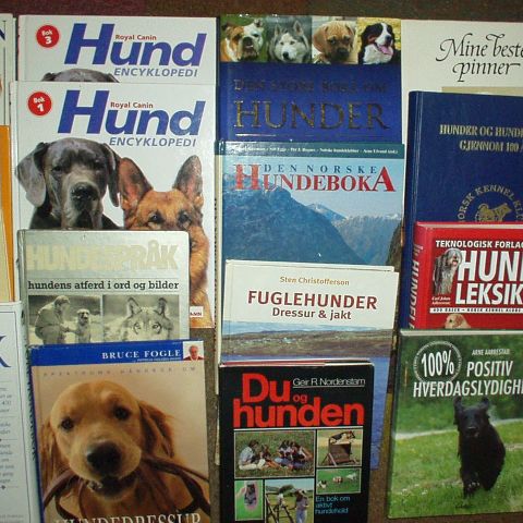 HUND - HUNDEKASSE.