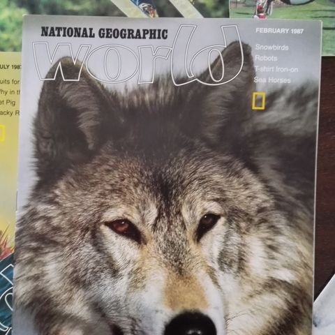 National Geographic - 109 World magazine 1978 - 1988 for barn og ungdom