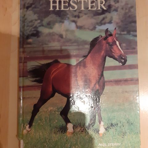 Hester  25KR